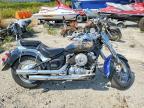 2006 Yamaha XVS65 Base