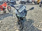 2024 Kawasaki EX500 H