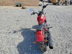 2013 Victory Judge