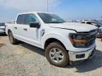2025 Ford F150 XLT