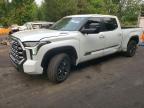 2026 Toyota Tundra Platinum HV