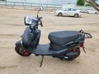 2021 Genuine Scooter Co. Buddy 170I