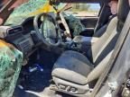 2025 Toyota Tacoma TRD PRO HV