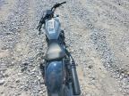 2024 Harley-Davidson RH975