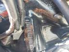 2004 Harley-Davidson Flstci
