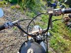 1976 Harley-Davidson Motorcycle