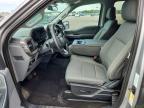 2025 Ford F150 XLT