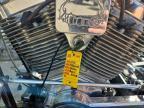 2006 Self 2006  Hillbound Chopper Hellion Edition