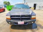 1999 Dodge Dakota