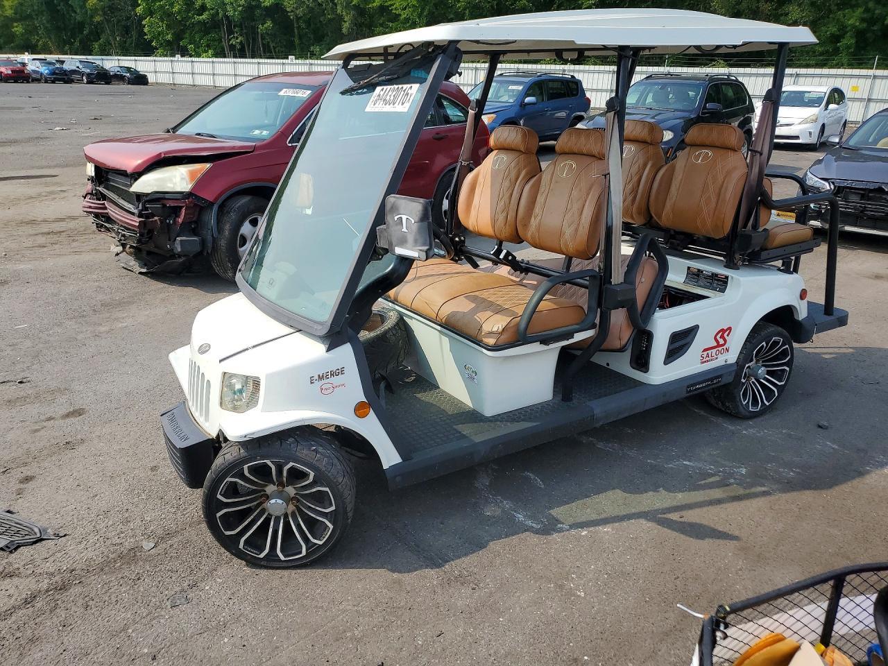 2020 Tomberline E-MERGE Golf Cart