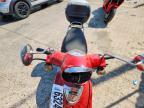 2012 Genuine Scooter Co. Buddy 50