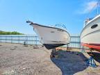 2004 Seaswirl Boat-Boat