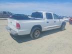 2000 Dodge Dakota Quattro