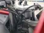 2025 Triumph Daytona 660