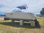 2003 Sea Ray 290 Amberjack-Boat