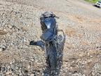 2024 Kawasaki ZX636 K