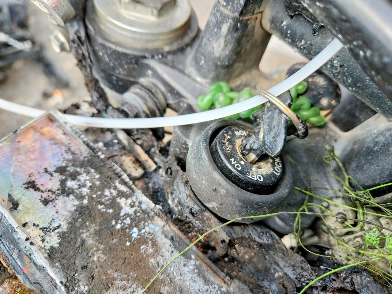 2021 Kawasaki KLX300 D