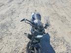 2026 Harley-Davidson RH1250 S