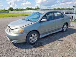 2003 Toyota Corolla ce for sale in Ottawa, ON