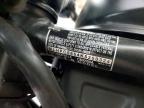 2019 Honda CMX500 A