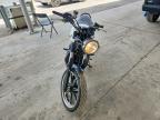 2013 Triumph Bonneville