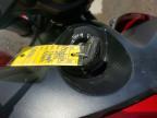 2026 Triumph Trident 800
