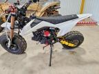 2020 Pits PRO