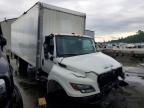 2024 International MV607 BOX Truck