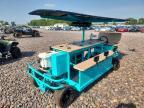 2025 Golf Cart Other