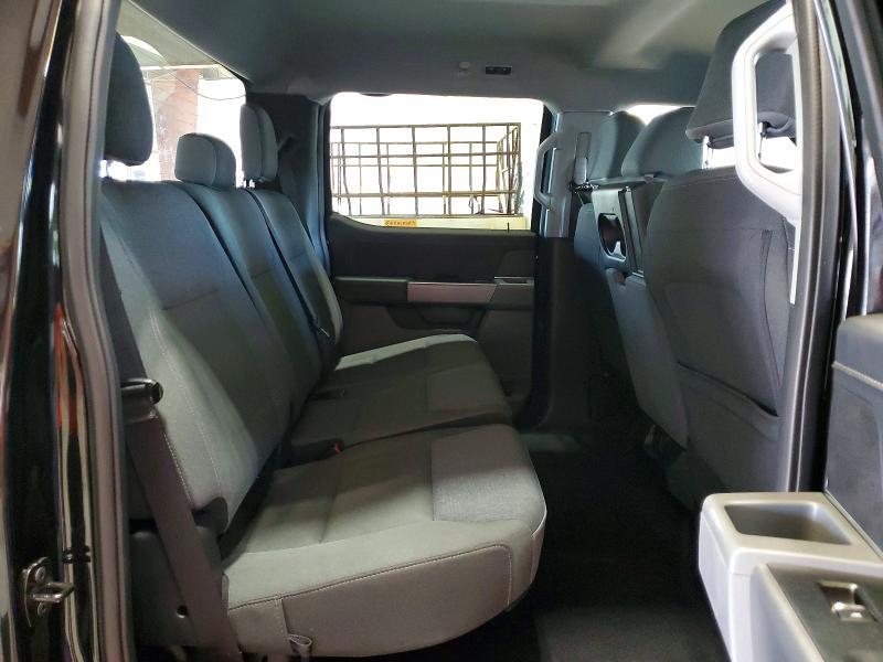 2025 Ford F150 XLT
