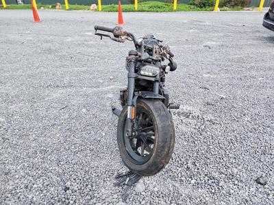 2025 Harley-Davidson Rh1250 S