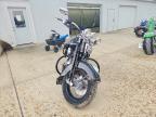 2005 Harley-Davidson Flstsi
