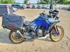 2023 Suzuki DL800DE RC