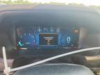 2024 Ford F150 STX