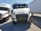 2025 Freightliner Cascadia 116 Semi Truck