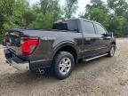 2024 Ford F150 XLT