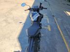 2024 Suzuki GSX800 R