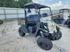 2026 Unknown 2026 Taizhou Nebula Power CO LTD Utility Vehicle