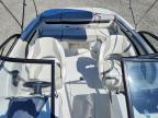 2020 APX Boat