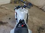 2026 Honda CBR600 RR