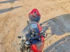 2025 Ducati Monster