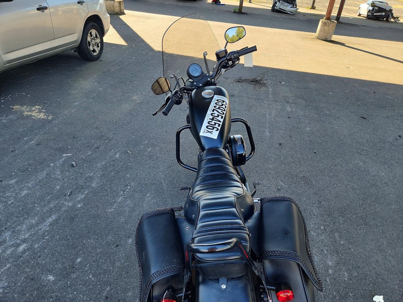 2020 Harley-Davidson XL883 N