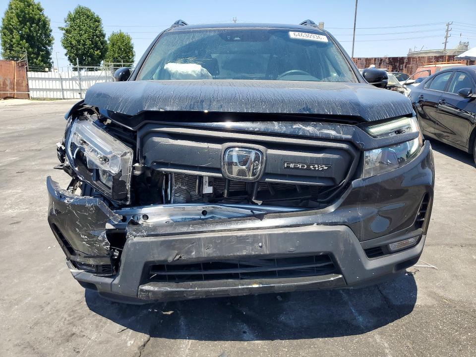 2024 Honda Passport Black Edition