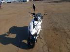 2025 Genuine Scooter Co. Scooter