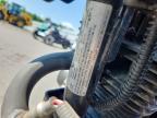 2024 Cf Moto Papio CL