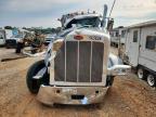 2023 Peterbilt 2023 Ptrb 389