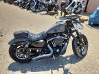 2020 Harley-Davidson XL883 N