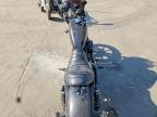 2019 Harley-Davidson XL883 N