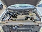 2009 Ford F150