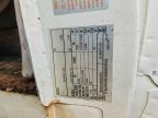 1989 Ford Rockwood RV
